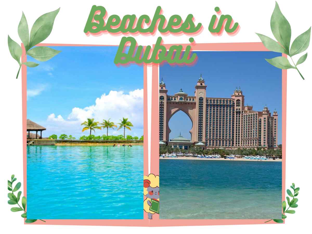 Beaches in Dubai for Tourists and Locals