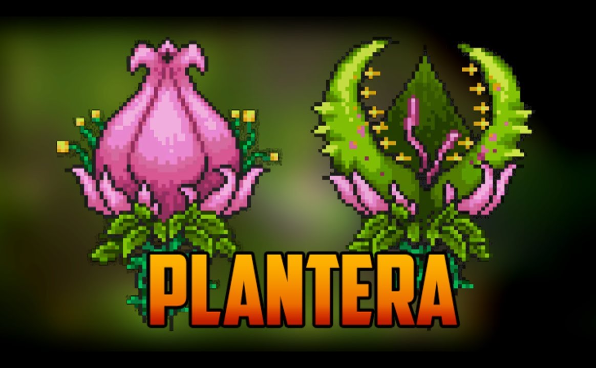 Plantera Game