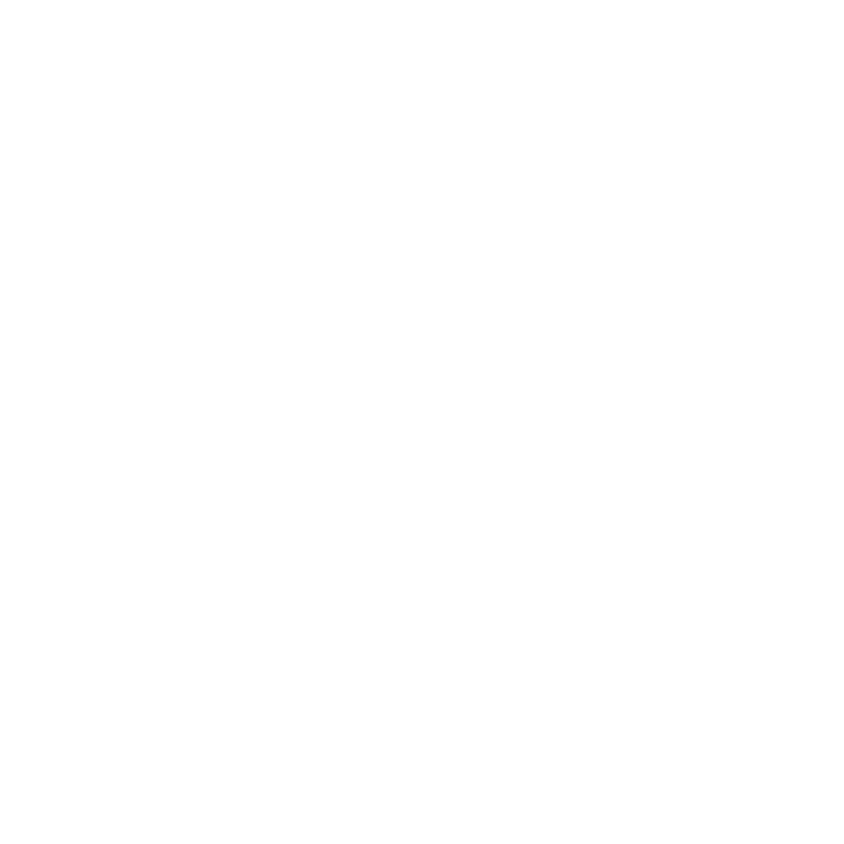 Bluestack White Logo