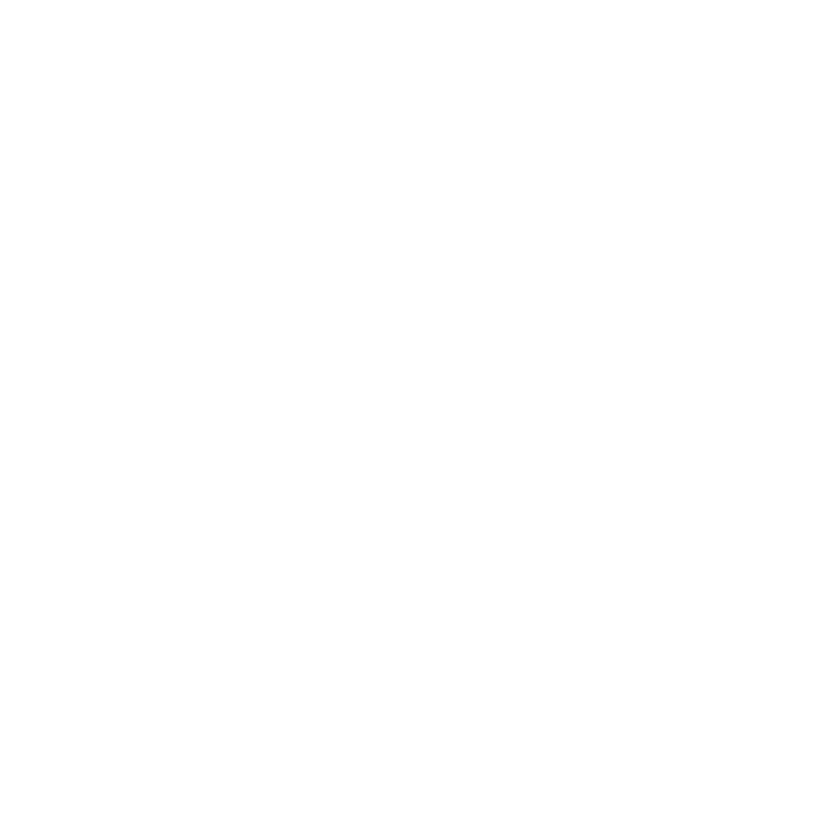 Wireless Trackball Mouse Icon