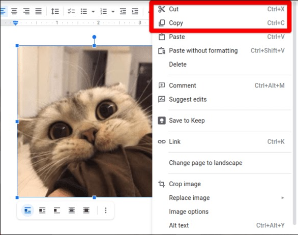 Copy or Cut Image in Google Docs