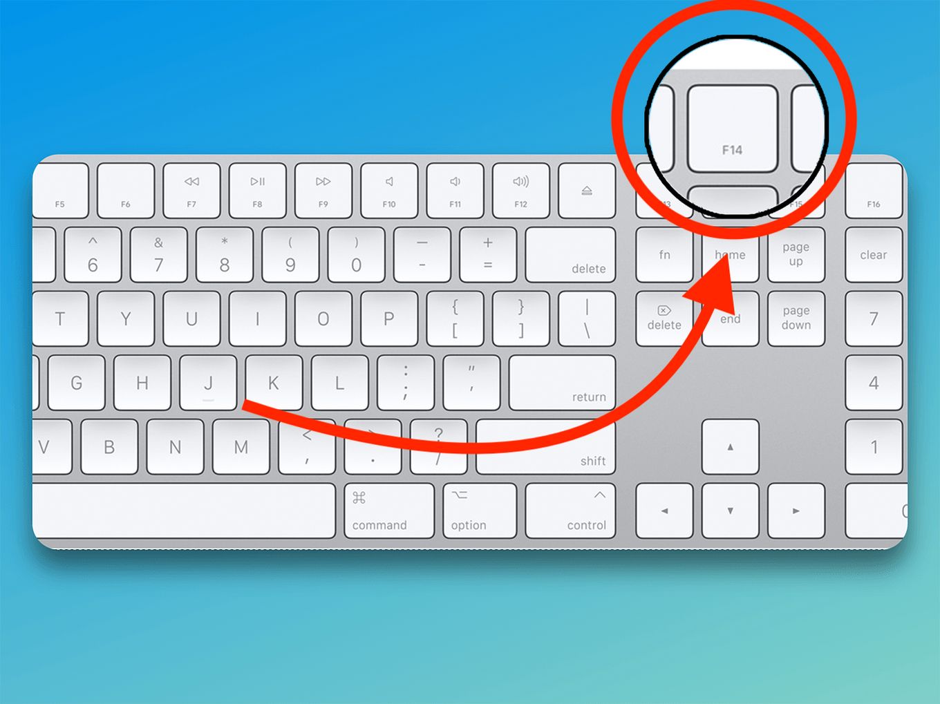 Turn Off Scroll Lock on Mac